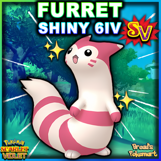 Shiny 6IV Furret - Battle Ready + EVs - lv100