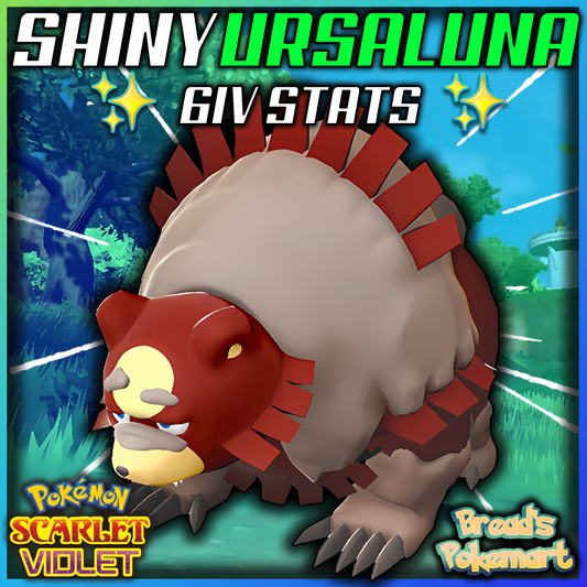 Shiny 6IV Ursaluna - Battle Ready + EVs - lv100