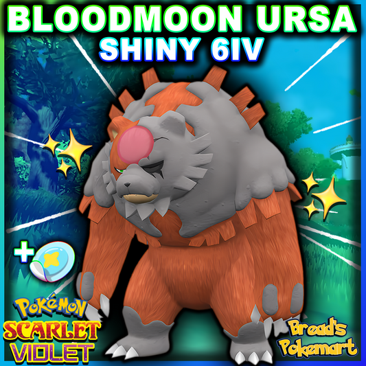 Shiny 6IV Bloodmoon Ursaluna - Battle Ready + EVs - lv100